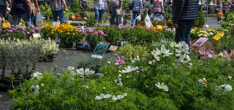 Blumenmarkt